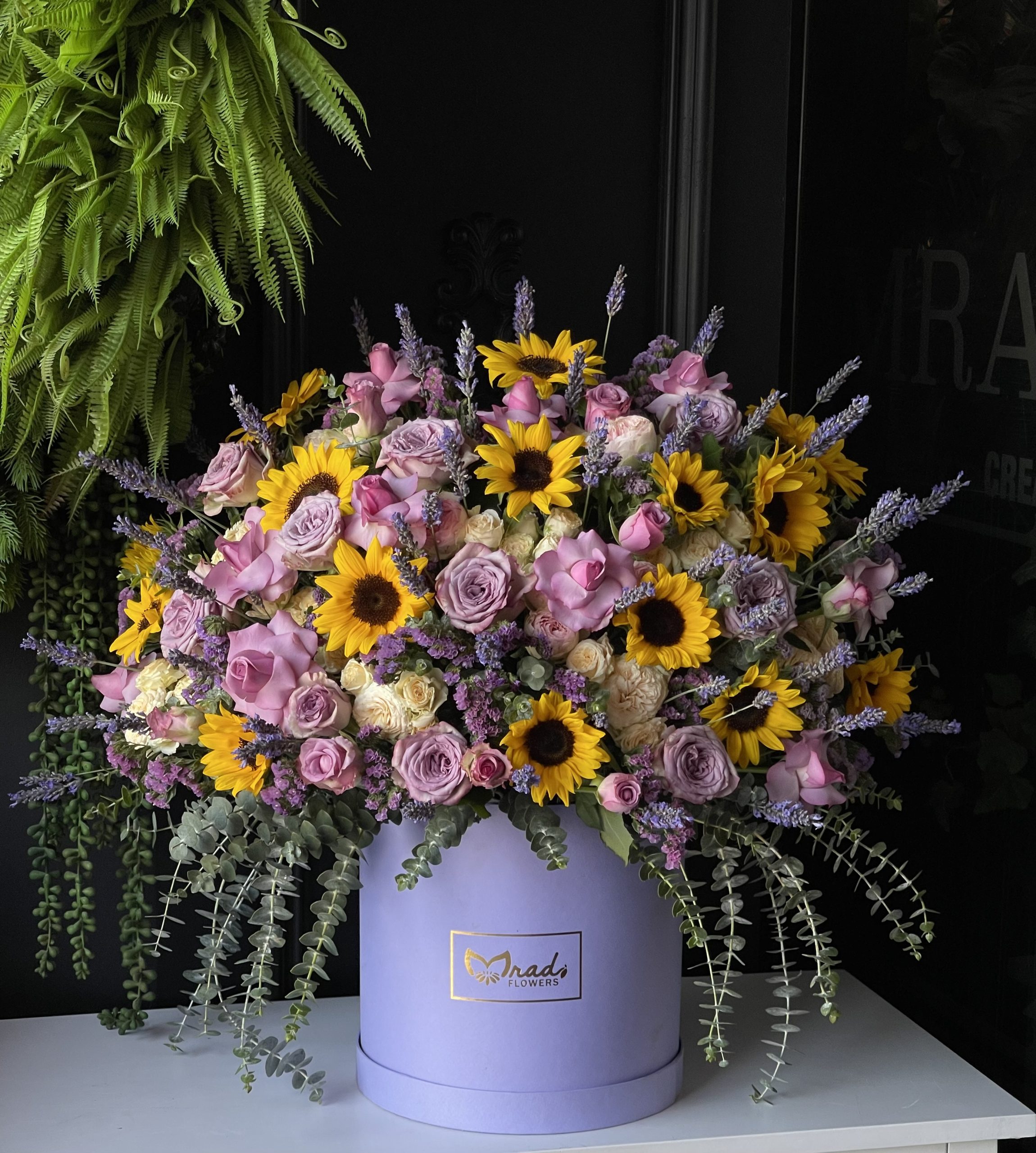 Violet Sun