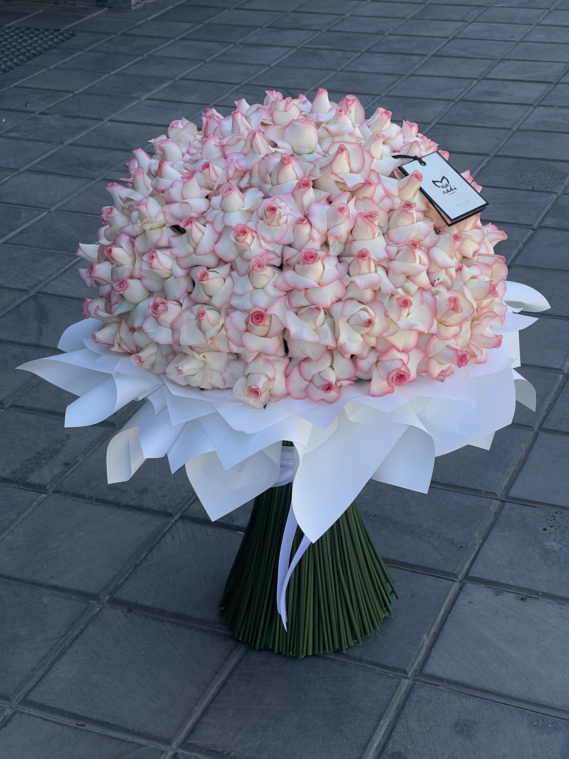 Rose Promise