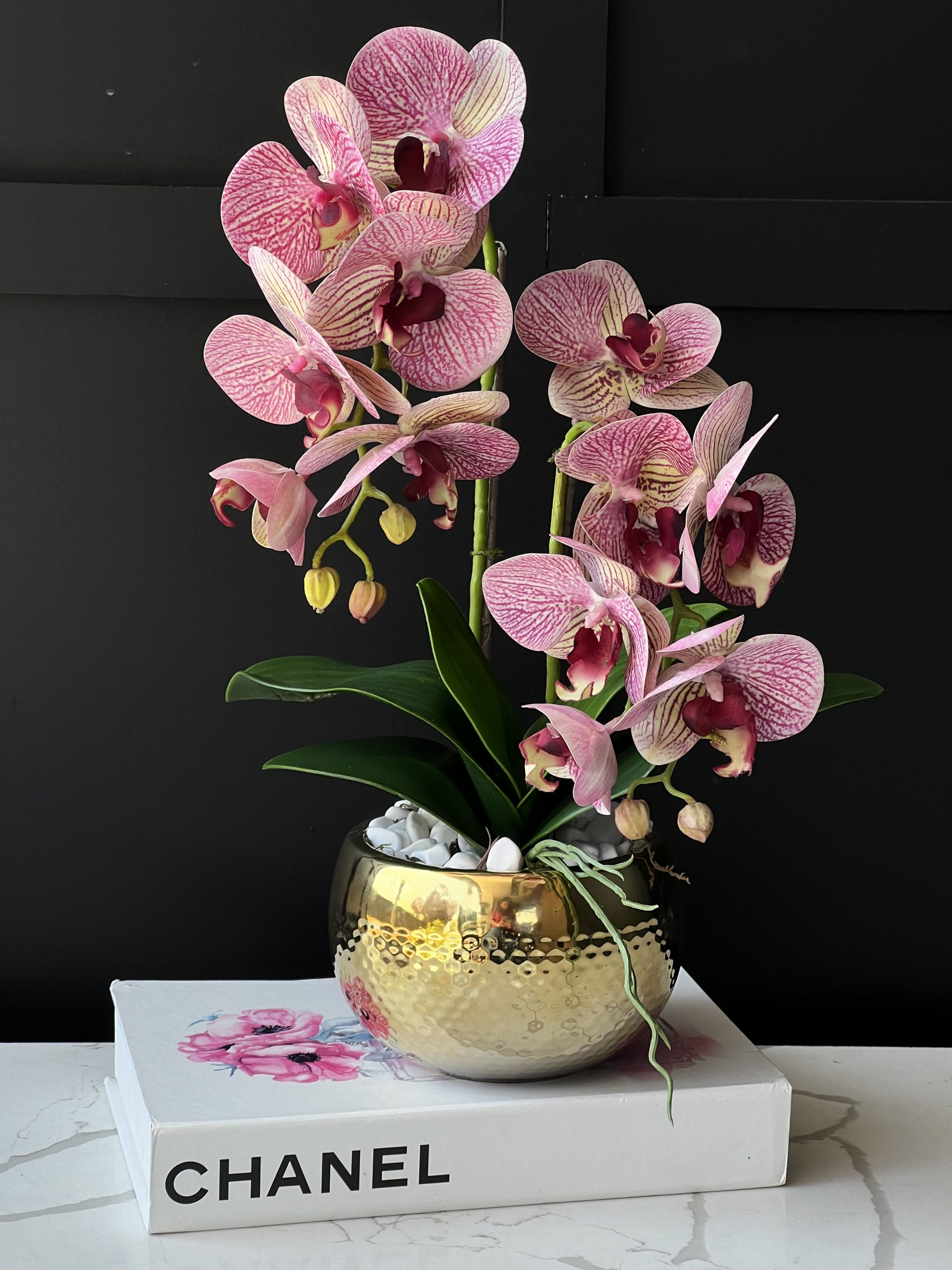 Silken Orchid Grace